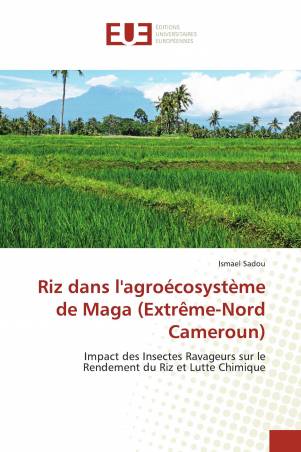 Riz dans l&#039;agroécosystème de Maga (Extrême-Nord Cameroun)