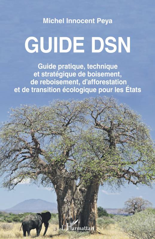 Guide DSN