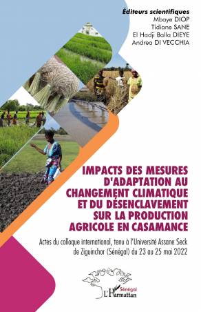 Impacts des mesures d'adaptation au changement climatique et du désenclavement sur la production agricole en Casamance