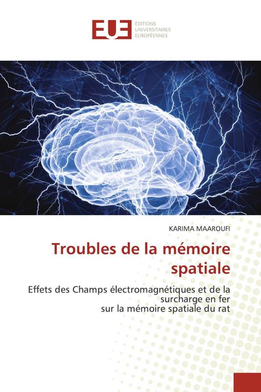 Troubles de la mémoire spatiale