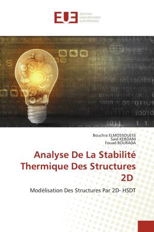 Analyse De La Stabilité Thermique Des Structures 2D