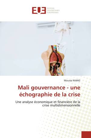 Mali gouvernance - une échographie de la crise