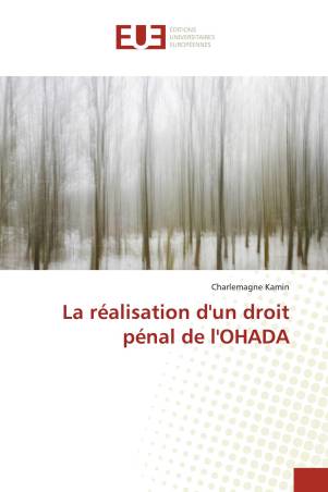 La réalisation d'un droit pénal de l'OHADA