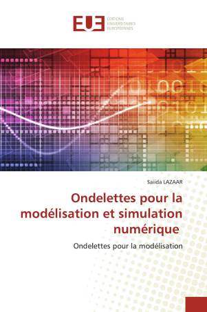 Ondelettes pour la modélisation et simulation numérique
