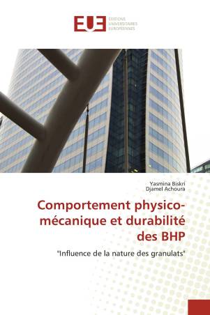 Comportement physico-mécanique et durabilité des BHP