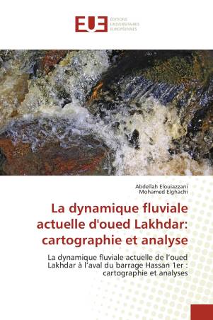 La dynamique fluviale actuelle d'oued Lakhdar: cartographie et analyse
