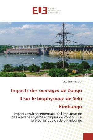 Impacts des ouvrages de Zongo II sur le biophysique de Selo Kimbungu