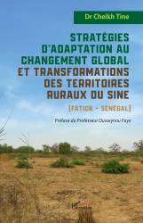 Stratégies d’adaptation au changement global et transformations des territoires ruraux du Sine (Fatick - Sénégal)