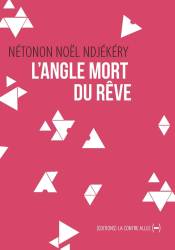 L’Angle mort du rêve Nétonon Noël Ndjékéry