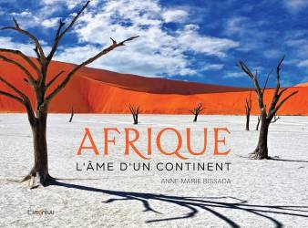 Afrique. L'âme d'un continent