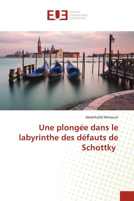 Une plongée dans le labyrinthe des défauts de Schottky