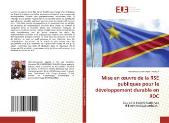 Mise en œuvre de la RSE publiques pour le développement durable en RDC