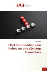 Effet des conditions aux limites sur une décharge filamentaire