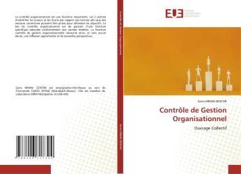 Contrôle de Gestion Organisationnel