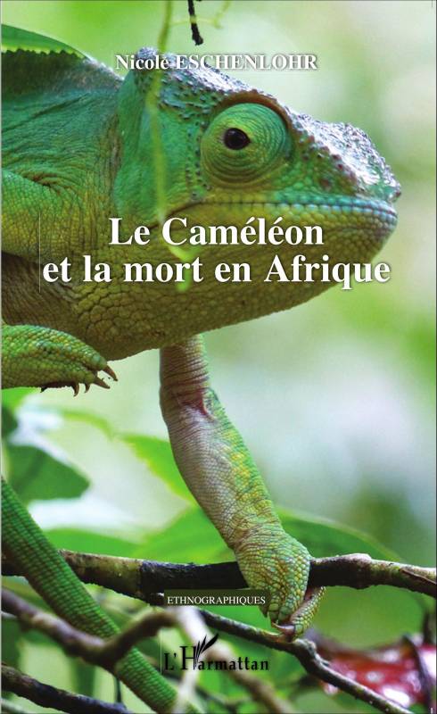 Le Cameroun: Le Cœur Hanté de l’Afrique
