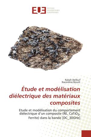 Étude et modélisation diélectrique des matériaux composites