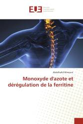 Monoxyde d'azote et dérégulation de la ferritine