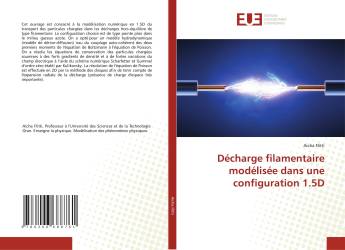 Décharge filamentaire modélisée dans une configuration 1.5D