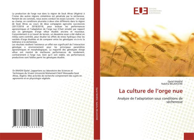 La culture de l’orge nue