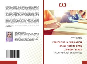 L’APPORT DE LA SIMULATION BASSE-FIDELITE DANS L’APPRENTISSAGE