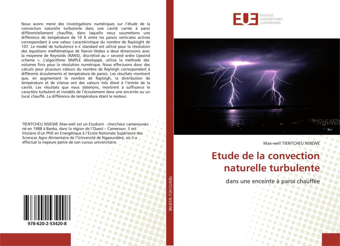 Etude de la convection naturelle turbulente