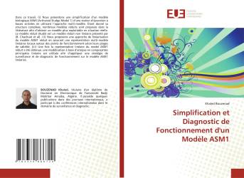 Simplification et Diagnostic de Fonctionnement d'un Modèle ASM1