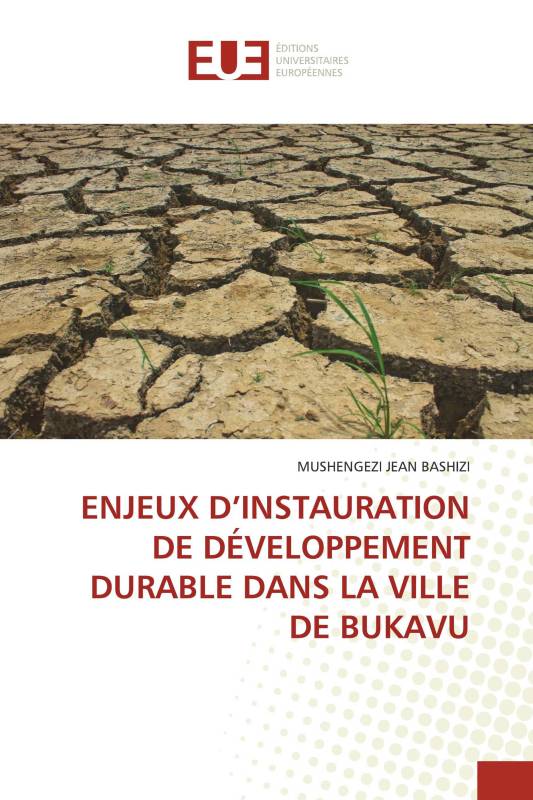 ENJEUX D’INSTAURATION DE DÉVELOPPEMENT DURABLE DANS LA VILLE DE BUKAVU