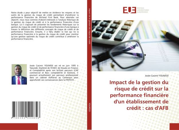 Impact de la gestion du risque de crédit sur la performance financière d'un établissement de crédit : cas d'AFB