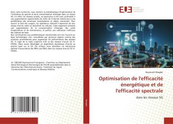 Optimisation de l'efficacité énergétique et de l'efficacité spectrale