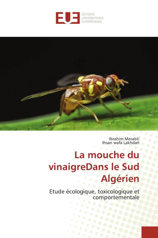 La mouche du vinaigreDans le Sud Algérien