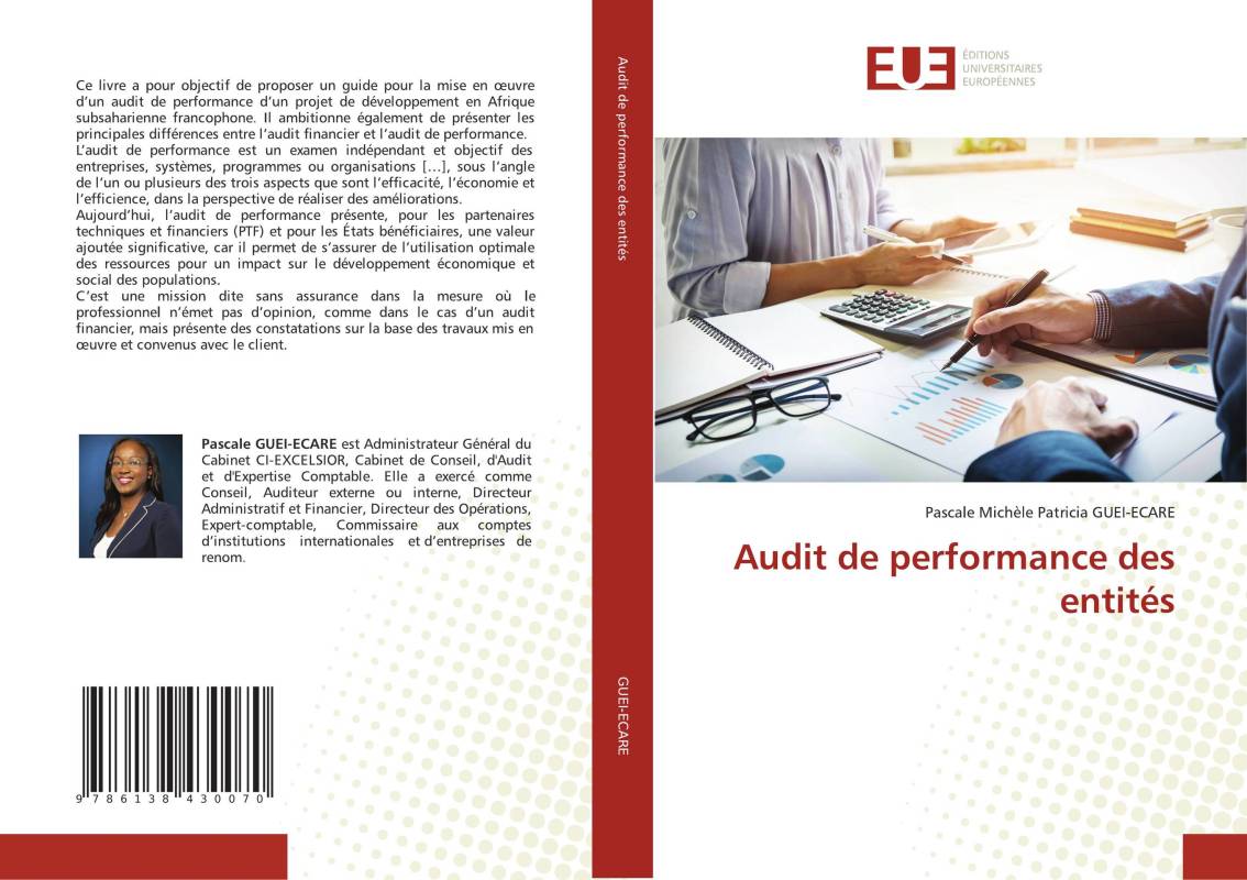 Audit de performance des entités