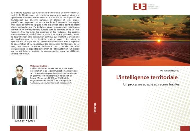 L&#039;intelligence territoriale