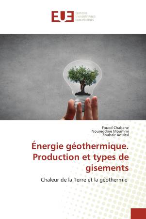 Énergie géothermique. Production et types de gisements