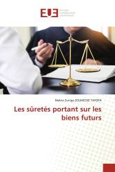 Les sûretés portant sur les biens futurs