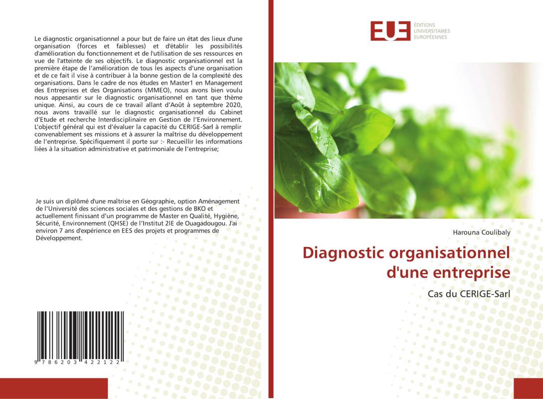 Diagnostic organisationnel d'une entreprise