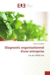 Diagnostic organisationnel d'une entreprise