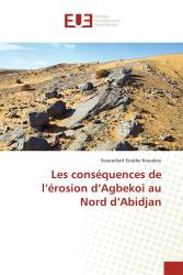 Les conséquences de l’érosion d’Agbekoi au Nord d’Abidjan