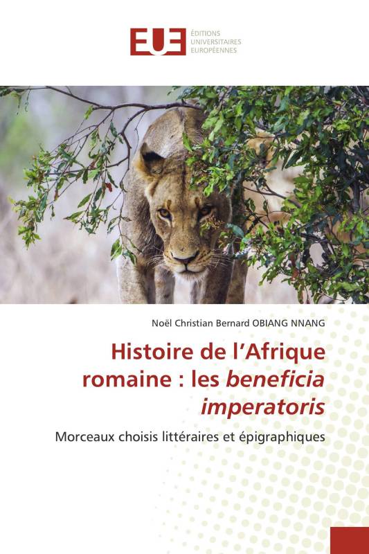 Histoire de l’Afrique romaine : les beneficia imperatoris