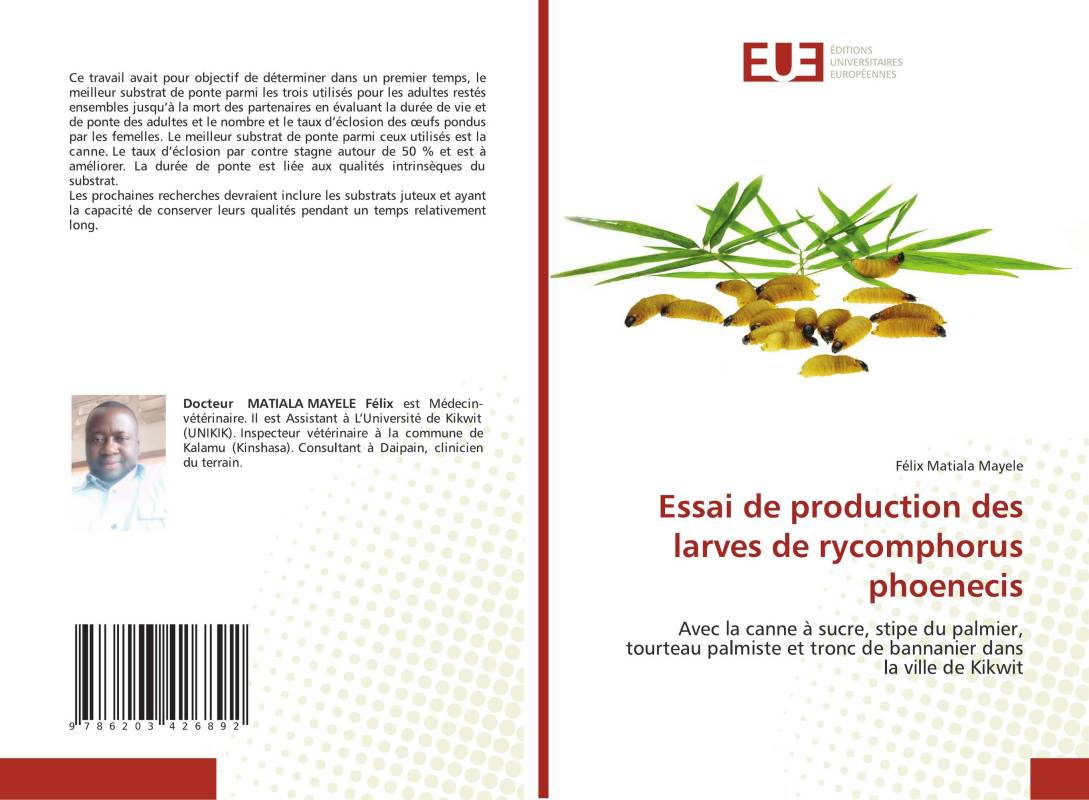 Essai de production des larves de rycomphorus phoenecis