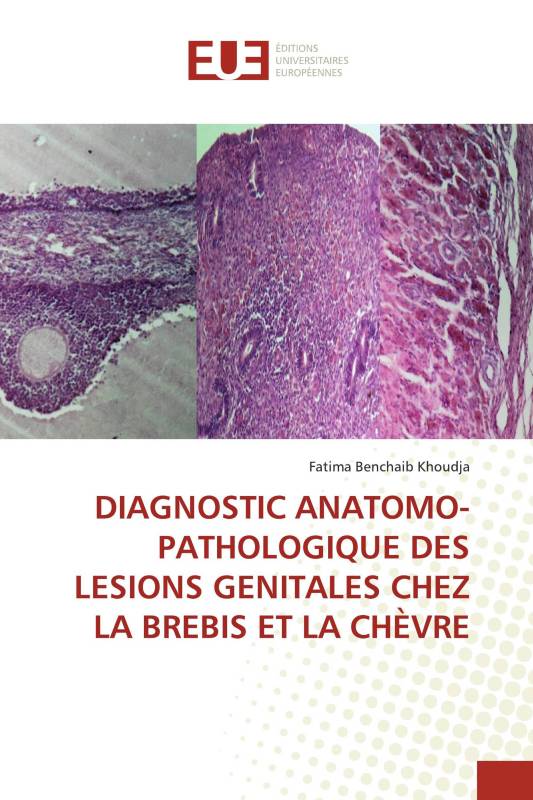 DIAGNOSTIC ANATOMO-PATHOLOGIQUE DES LESIONS GENITALES CHEZ LA BREBIS ET LA CHÈVRE