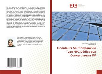 Onduleurs Multiniveaux de Type NPC Dédiés aux Convertisseurs PV