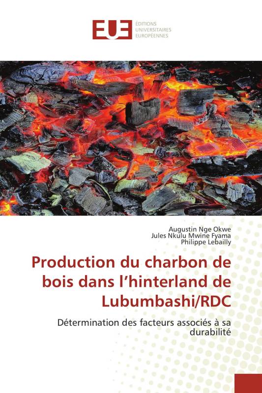 Production du charbon de bois dans l’hinterland de Lubumbashi/RDC