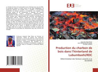 Production du charbon de bois dans l’hinterland de Lubumbashi/RDC