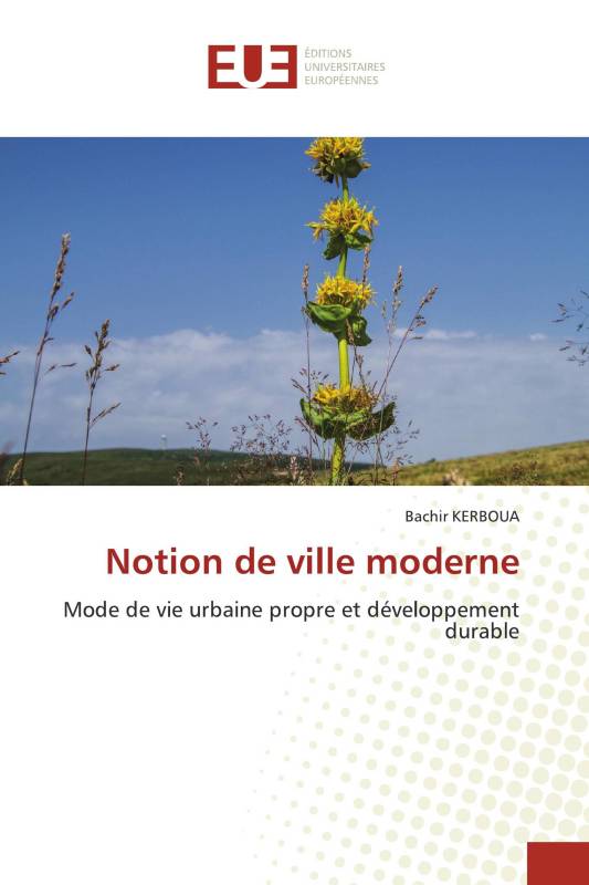 Notion de ville moderne