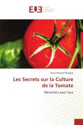 Les Secrets sur la Culture de la Tomate