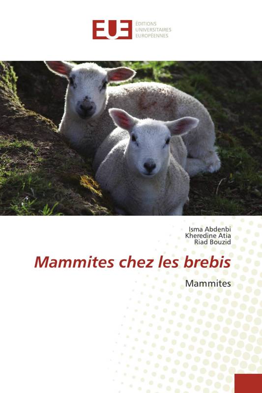 Mammites chez les brebis