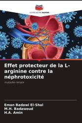 Effet protecteur de la L-arginine contre la néphrotoxicité