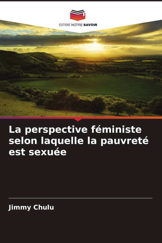 La perspective féministe selon laquelle la pauvreté est sexuée