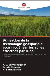 Utilisation de la technologie géospatiale pour modéliser les zones affectées par le sel