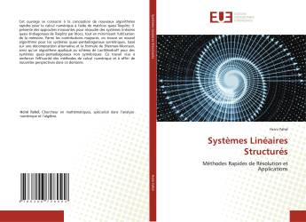 Systèmes Linéaires Structurés